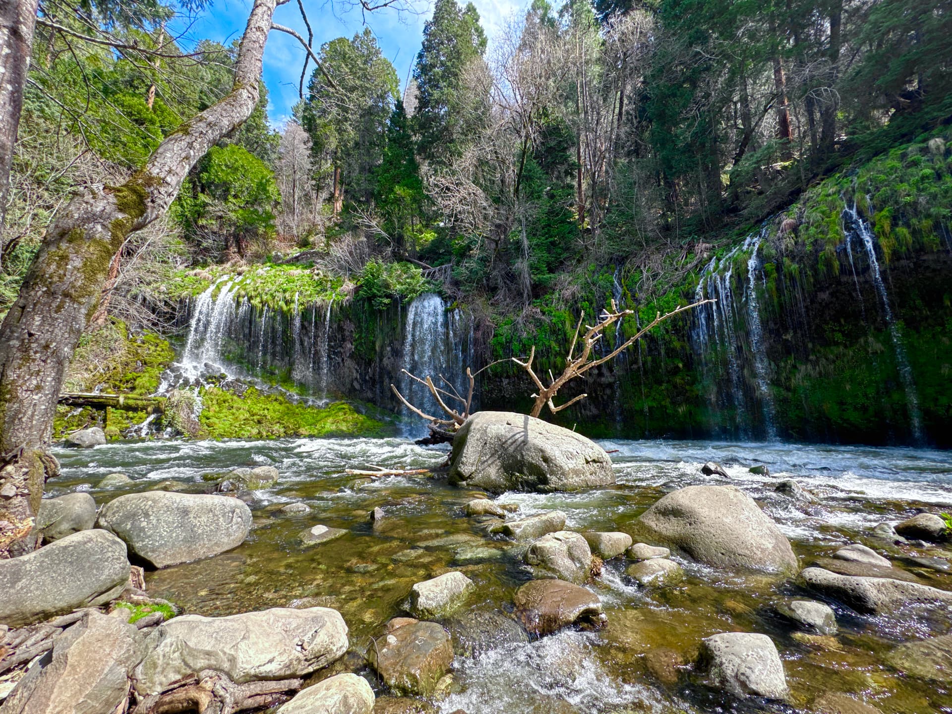 Waterfall in a forest